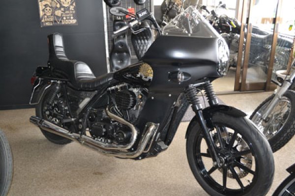 画像6: FXR用サイドカバー (6)