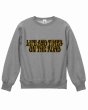 画像1: 【ViSE CLOTHING/バイスクロージング】Z-LTOR2 Heavy Weight Crew Neck Sweat　H.Gray (1)