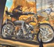 画像4: 【LOSER MACHINE/ルーザーマシーン】 GHOSTRIDER ボードショーツ (4)