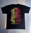 画像4: 【PARASITE/パラサイト】ROSE LIP S/S T-SHIRT　BLACK (4)